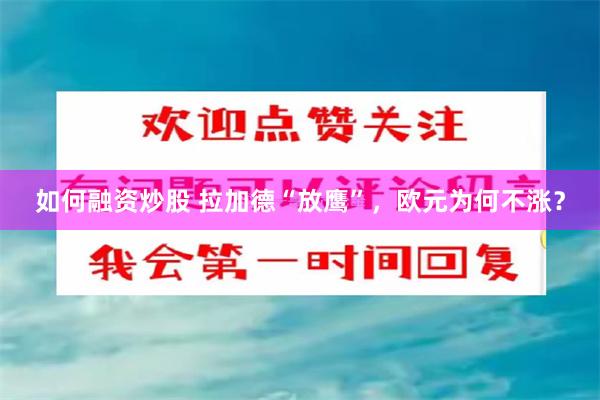 如何融资炒股 拉加德“放鹰”，欧元为何不涨？