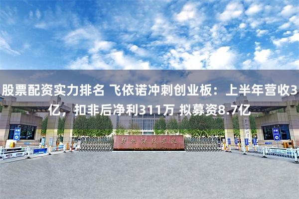 股票配资实力排名 飞依诺冲刺创业板：上半年营收3亿，扣非后净利311万 拟募资8.7亿