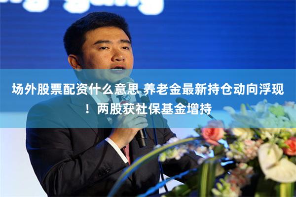 场外股票配资什么意思 养老金最新持仓动向浮现！两股获社保基金增持