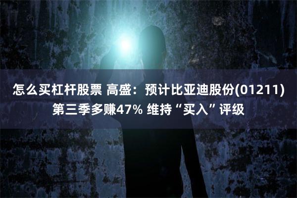 怎么买杠杆股票 高盛：预计比亚迪股份(01211)第三季多赚47% 维持“买入”评级